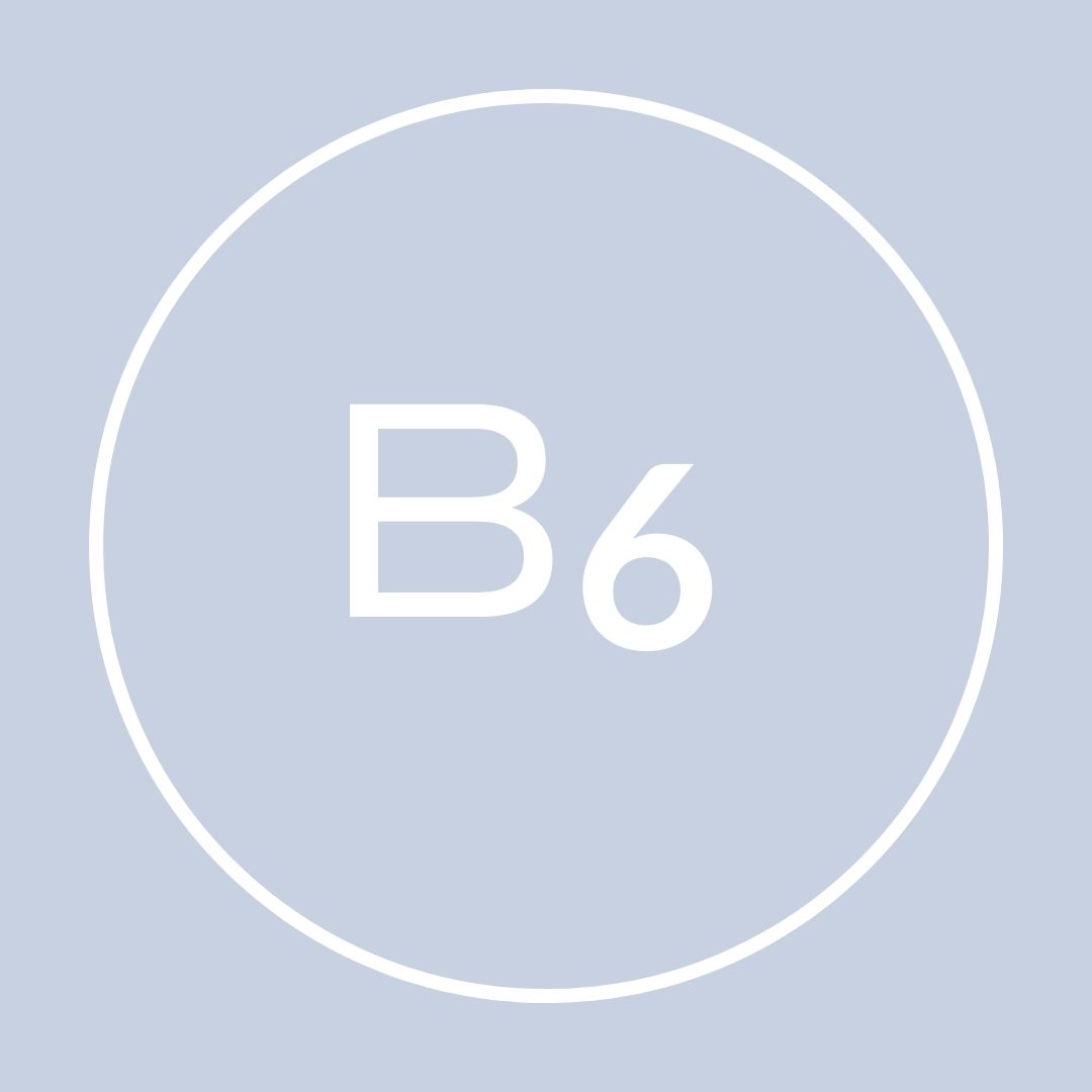 B6 icon blue
